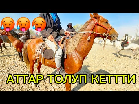 Видео: ОЗГОН АТ БАЗАР 05.10.2025 #памиртв #horse #атбазар 
