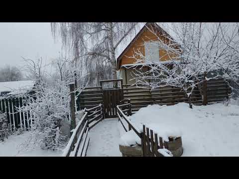 Видео: Козовник и его обитатели
