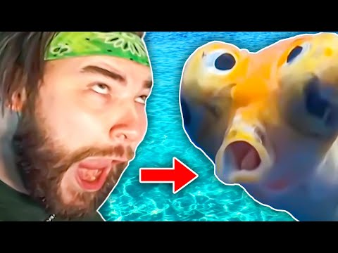 Видео: САМАЯ ГЛУПАЯ РЫБА В МИРЕ!! | KingWoolz против ЕЖЕДНЕВНОЙ ДОЗЫ ИНТЕРНЕТА