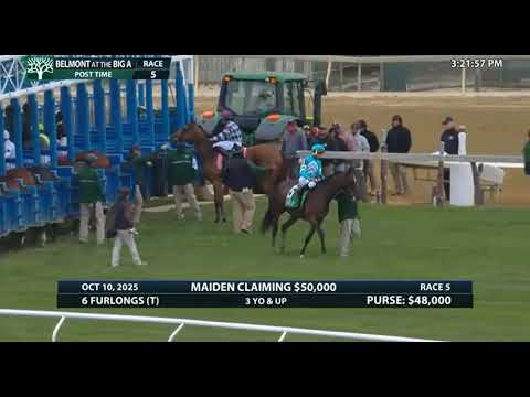 Видео: Гонка 5, Белмонт, The Big A USA