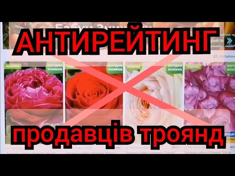 Видео: Покупка троянд в інтернеті🌹Антирейтинг продавців😈Як не дати себе ошукати.