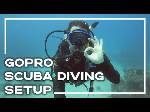 Видео: Руководство по подводному плаванию с GoPro Hero 9 — совместимость с GoPro Hero 13 🐠 (снаряжение и...