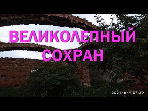 Видео: Отличный сохран,почему не все монеты такие.