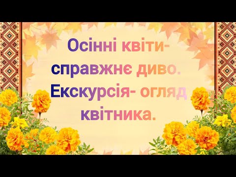 Видео: Осінні квіти- справжнє диво. Екскурсія- огляд квітника.