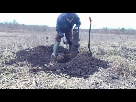 Видео: МЕТАЛЛОКОП. Пришла весна, копаю литой металл на торфяниках.
