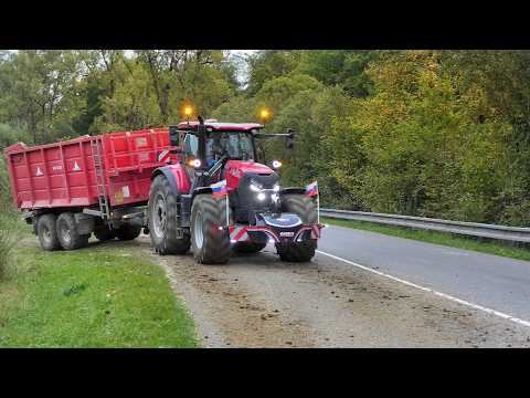 Видео: Силосование кукурузы 2025: Claas Jaguar 980, 3x Case IH Puma 260, 2x Tatra и New Holland T7