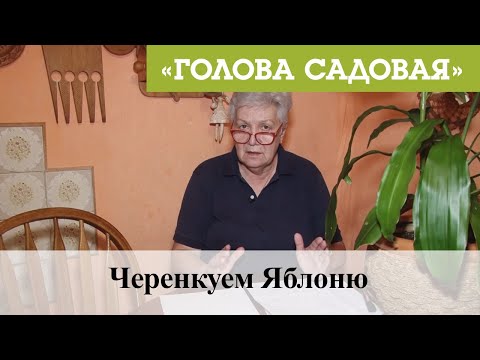 Видео: Голова садовая - Черенкуем Яблоню