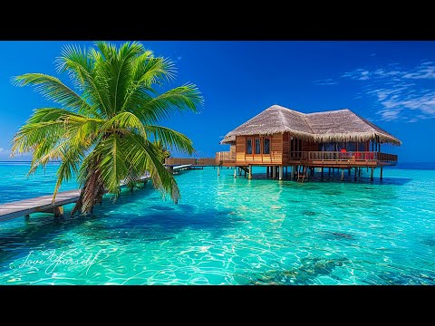 Видео: ВОССТАНОВЛЕНИЕ НЕРВНОЙ СИСТЕМЫ 🌿 Нежная музыка, успокаивает нервную систему и радует душу #112