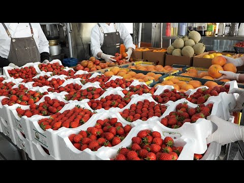 Видео: свежевыжатый сок (клубника, лимон, грейпфрут) - корейское кафе