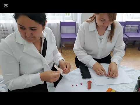 Видео: МКҚК "№161бөбекжай-балабақшасы" Семинар тақырыбы: МДҰ балаларын эмоционалды дамыту құралдары.