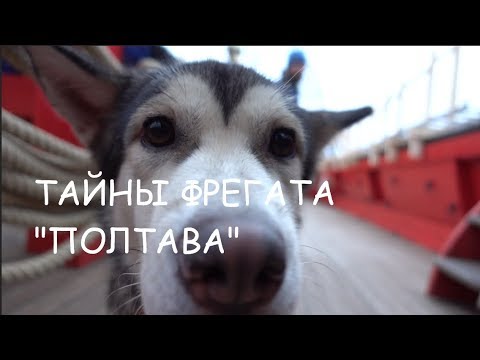 Видео: Тайны фрегата Полтава