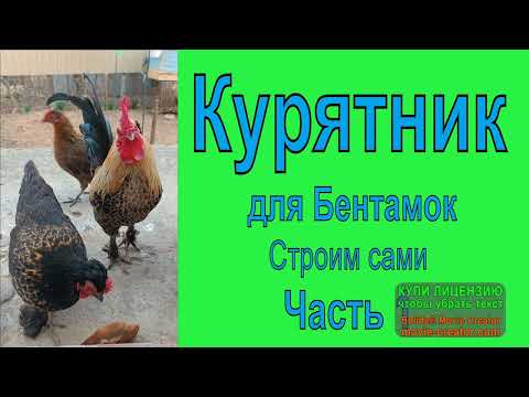 Видео: Как мы КУРЯТНИК для Бентамок строили))) 🐔🐓🏡 Часть 1.