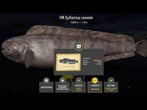 Видео: 📢СТРИМ РР4🔥С УТРА ПОРАНЬШЕ ОТПРАВЛЯЕМСЯ НА МОРЕ🔥РУССКАЯ РЫБАЛКА 4