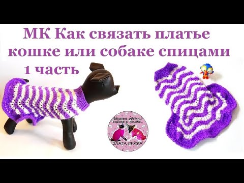 Видео: МК Как связать платье кошке или собаке спицами. 1 часть.