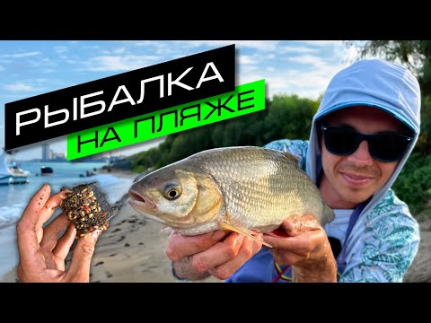 Видео: ФИДЕРНАЯ ЛОВЛЯ НА РЕКЕ / РЫБАЛКА НА ОКЕ / FROS FISHING