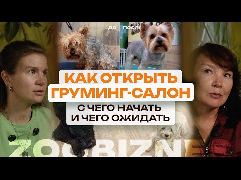 Видео: Как открыть груминг-салон самостоятельно: секреты от опытных грумеров 🐕 Салон для животных с нуля