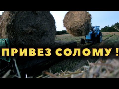 Видео: Солома скручена и привезена!