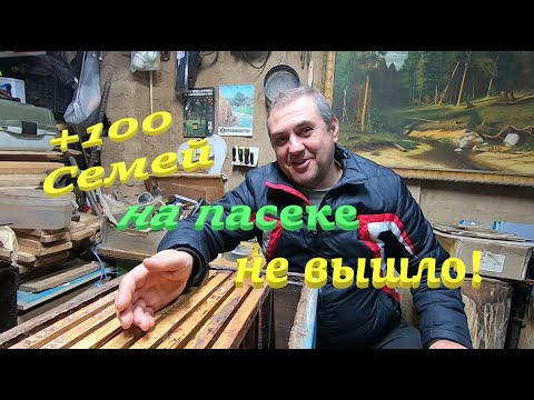 Видео: ✅ +100 СЕМЕЙ на пасеке НЕ ВЫШЛО! Кочевка в лес 2024 итоги! #пчеловодство1