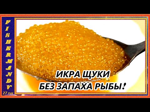 Видео: ИКРА ЩУКИ, хороший рецепт приготовления малосольной щучьей икры совершенно  без запаха свежей рыбы!