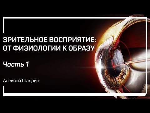 Видео: Смысл зрения и зрительная система. Зрительное восприятие: от физиологии к образу. Алексей Шадрин