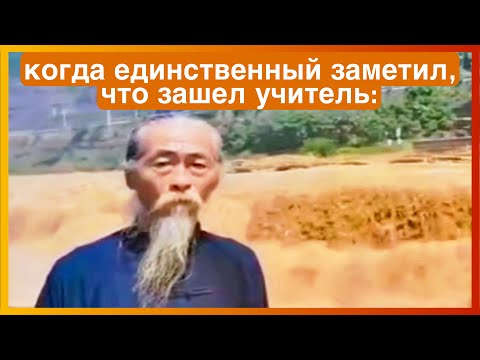 Видео: тикток заметил | подборка мемов