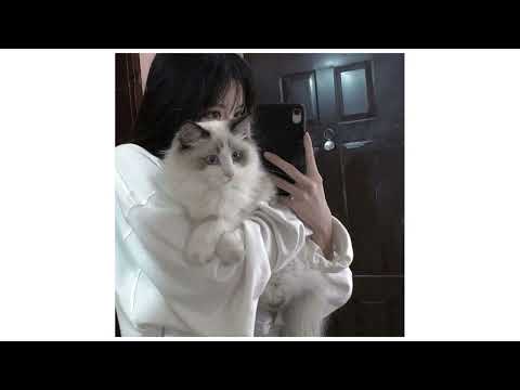 Видео: Кат жаздын мага катасы толтура (sped up)