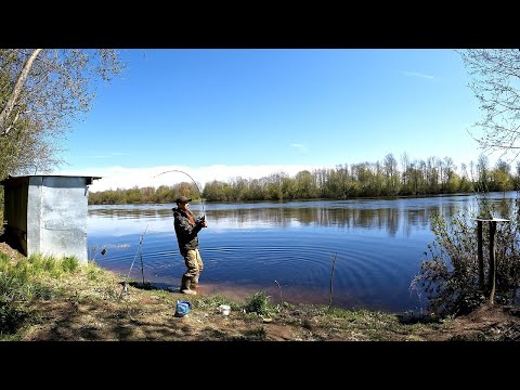 Видео: Рыбалка с ночёвкой в Карелии на Фидер и Удочку на Реке!