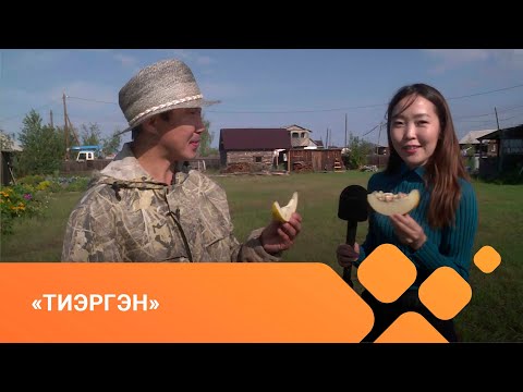 Видео: «Тиэргэн» биэриигэ: Хамаҕатта бастыҥ оҕуруотчута Иннокентий Федотов (01.09.21)