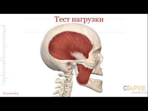 Видео: Тест нагрузки с листовым калибратором