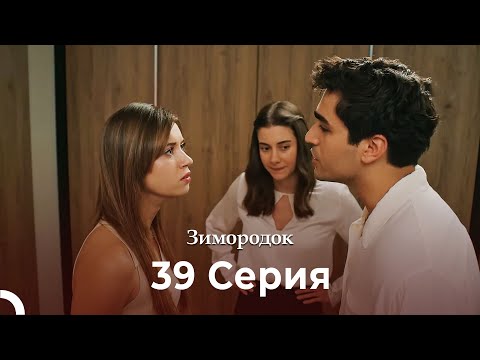 Видео: Зимородок 39 Cерия (Русский дубляж) (4K)