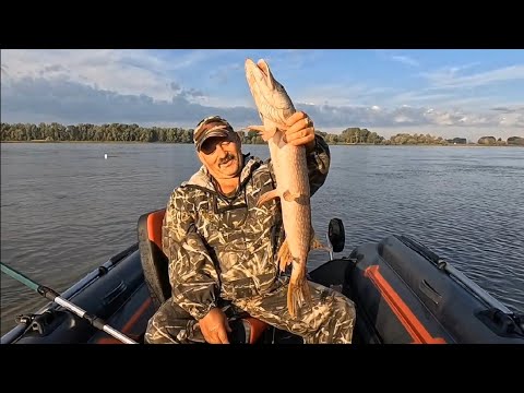 Видео: РЫБАЛКА. ЩУЧИЙ РАЙ. Алтайский Край