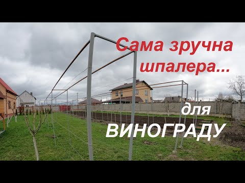 Видео: 🔴Сама краща та зручна шпалера для ВИНОГРАДУ...