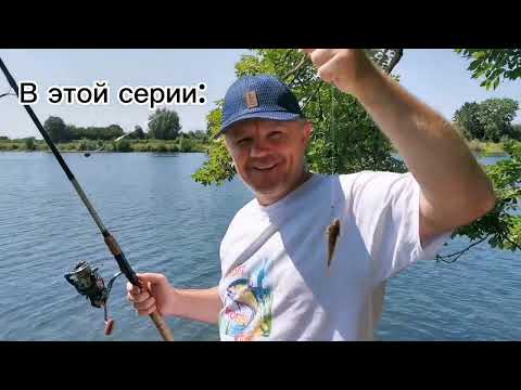 Видео: ЛОВИМ СУДАКА В ГОЛЛАНДИИ. Angeln auf Zander in Holland.