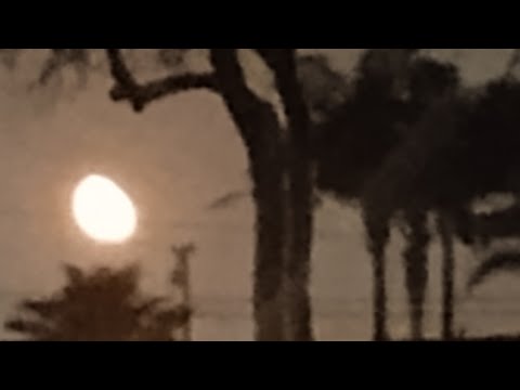 Видео: ASMR M4M (Джок замечает, как ты нюхаешь его полотенце)