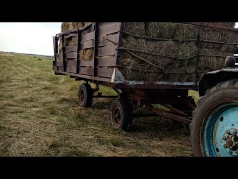 Видео: фортшрит к453 к454 о ремонте вязального аппарата