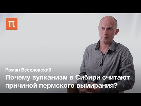 Видео: Крупные магматические провинции — Роман Веселовский