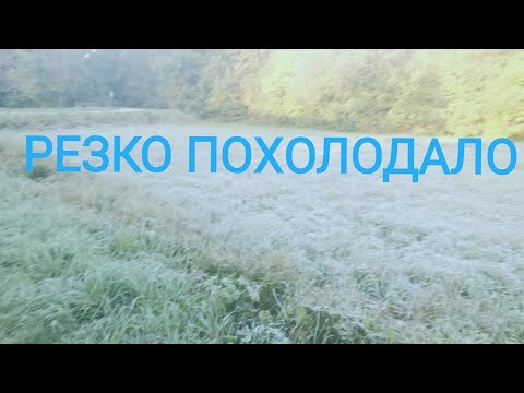 Видео: УЖЕ ЗИМА НЕ ЗА ГОРАМИ  А У НАС ЕЩЁ НИЧЕГО НЕ ГОТОВО