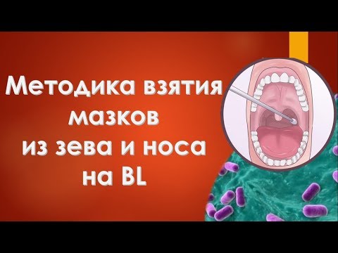 Видео: Методика взятия мазков из зева и носа на BL