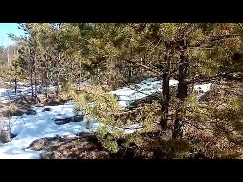 Видео: Поиск рогов.. Открытие 2025