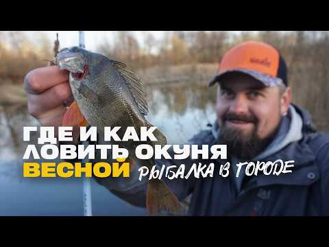 Видео: Где Искать и Как Поймать Окуня на Микроджиг Рыбалка в Городе
