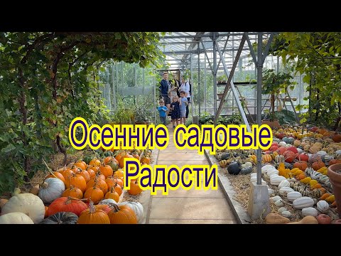 Видео: Vlog 417 - Садовые радости Wisley