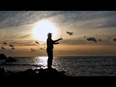 Видео: Не тот вид, который я собирался поймать | Рыбалка на приманку в Великобритании