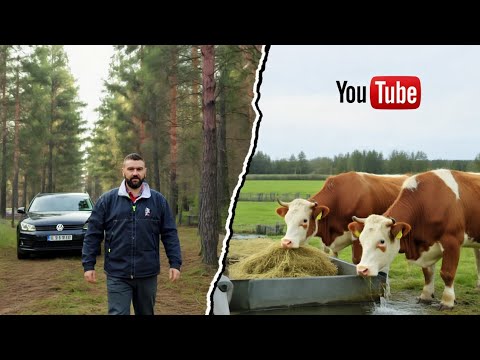 Видео: «Машину сдал — коров накормил: День, которого я не ждал!»