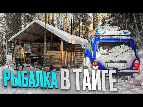 Видео: Рыбалка в Тайге 450км| комфортная изба