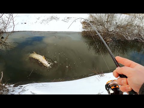 Видео: Её просто так не взять! Хитрость этой ЩУКИ просто зашкаливает!