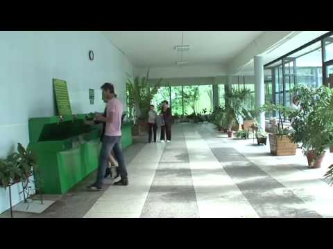 Видео: Курорт "Старая Русса"