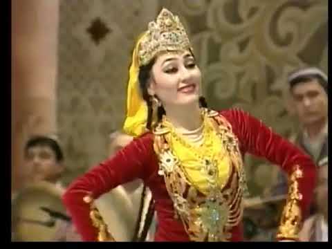 Видео: 10 ноября 2025 г.