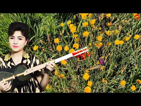 Видео: Хадичахон Алимардонова ижро этган бир қўшиқ этиборингизга 