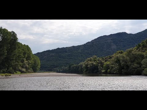 Видео: Мухарски риболов на река Арда
