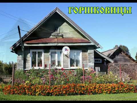 Видео: Демянский район - 2024